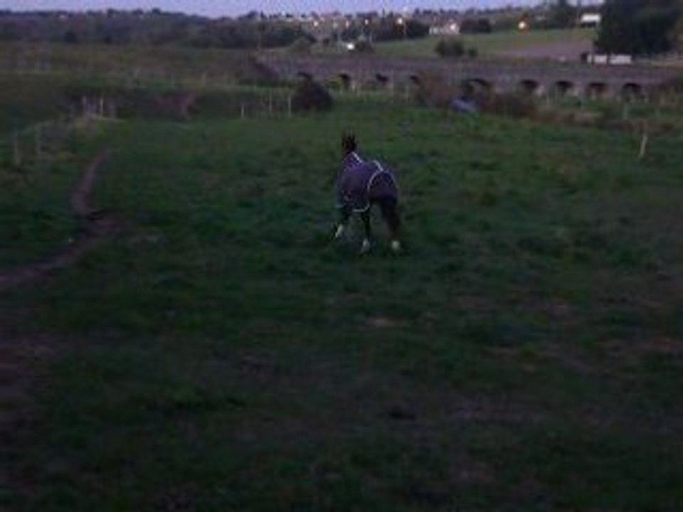 Néwin romance