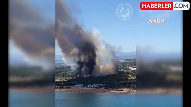 Orman Genel Müdürlüğü Antalya, İzmir ve Bursa'daki Yangınlara Müdahale Ediyor