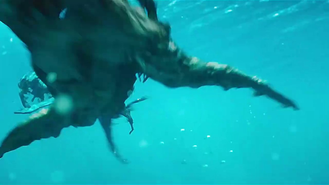 Latest New movie 2024