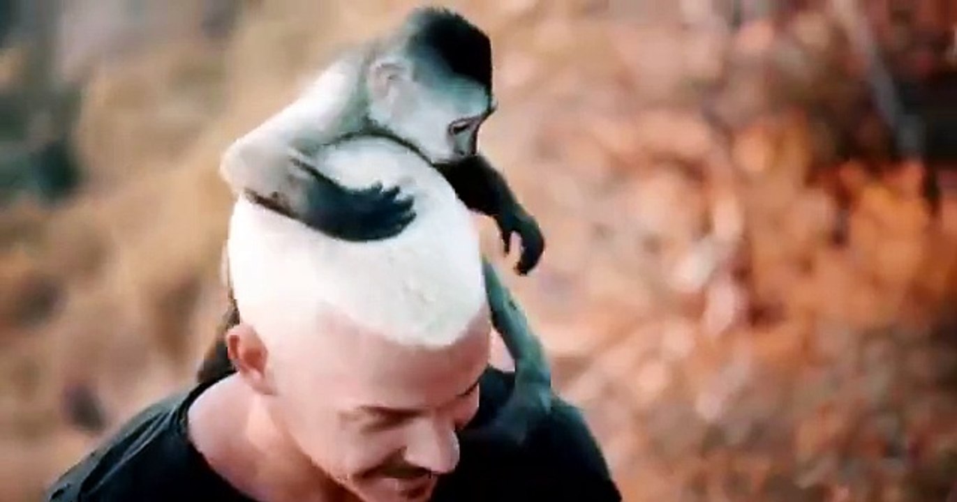 videoplayback (1)