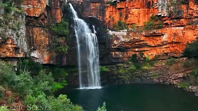 Amazing Wildlife of Africa in 4K _ Nature Scenes _ Scenic Relaxation Film