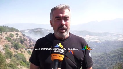 Οριοθετήθηκε η φωτιά στην Καμηλόβρυση Λαμιας