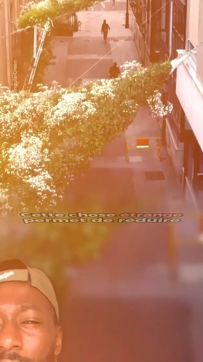 Abonne-toi pour suivre d’autres solutions positives !     @theimpactstory   Source : singular green #climatiseur #biodiversité #architecture #vegetation #nature #invention #environnement