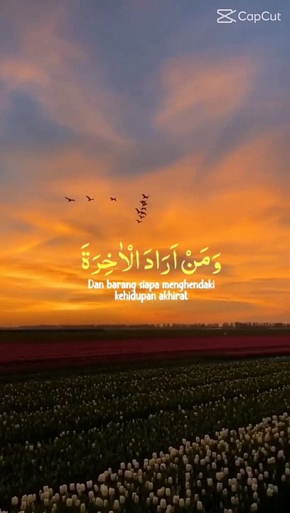 Tilawat e Quran