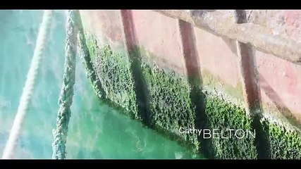 The.Catch.2023.S01e03.Web.H264-Rbb