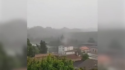 Un rayo golpea y derriba un árbol al oeste de Francia