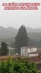Un rayo golpea y derriba un árbol al oeste de Francia