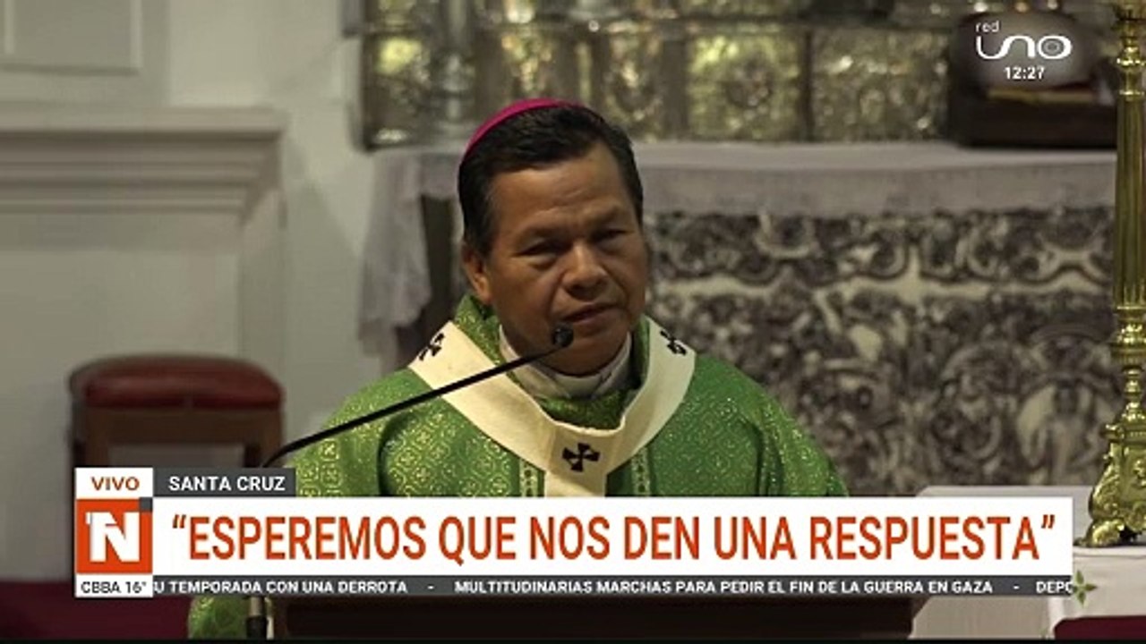 HOMILIA DOMINGO