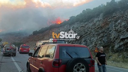 Βοιωτία: Μεγάλη φωτιά σε δασική έκταση μεταξύ Λιβαδειάς και Αράχωβας