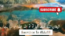 Allah ki yaad  __ Emotional words__ Islamic world status ❤️❤️(720P_HD)