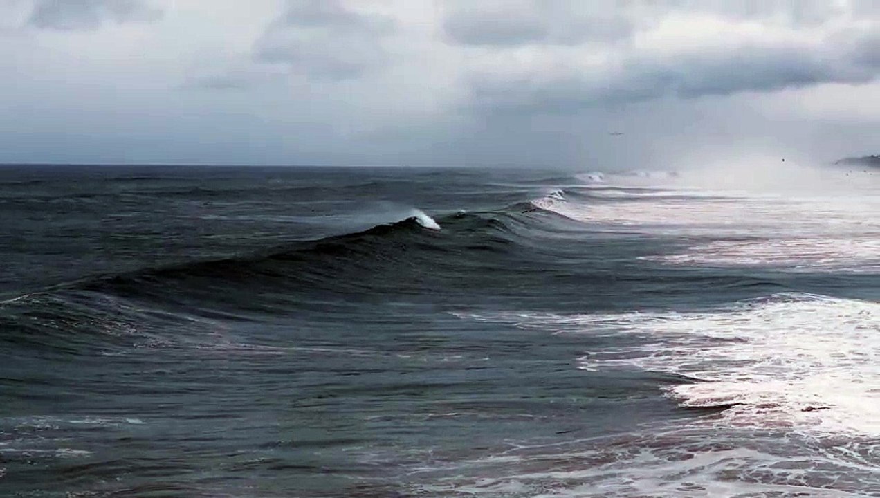 A huge wave in the sea