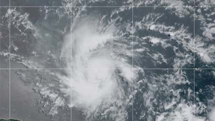 허리케인 '베릴' 4등급으로 상향...카리브해 남동부 접근 / YTN