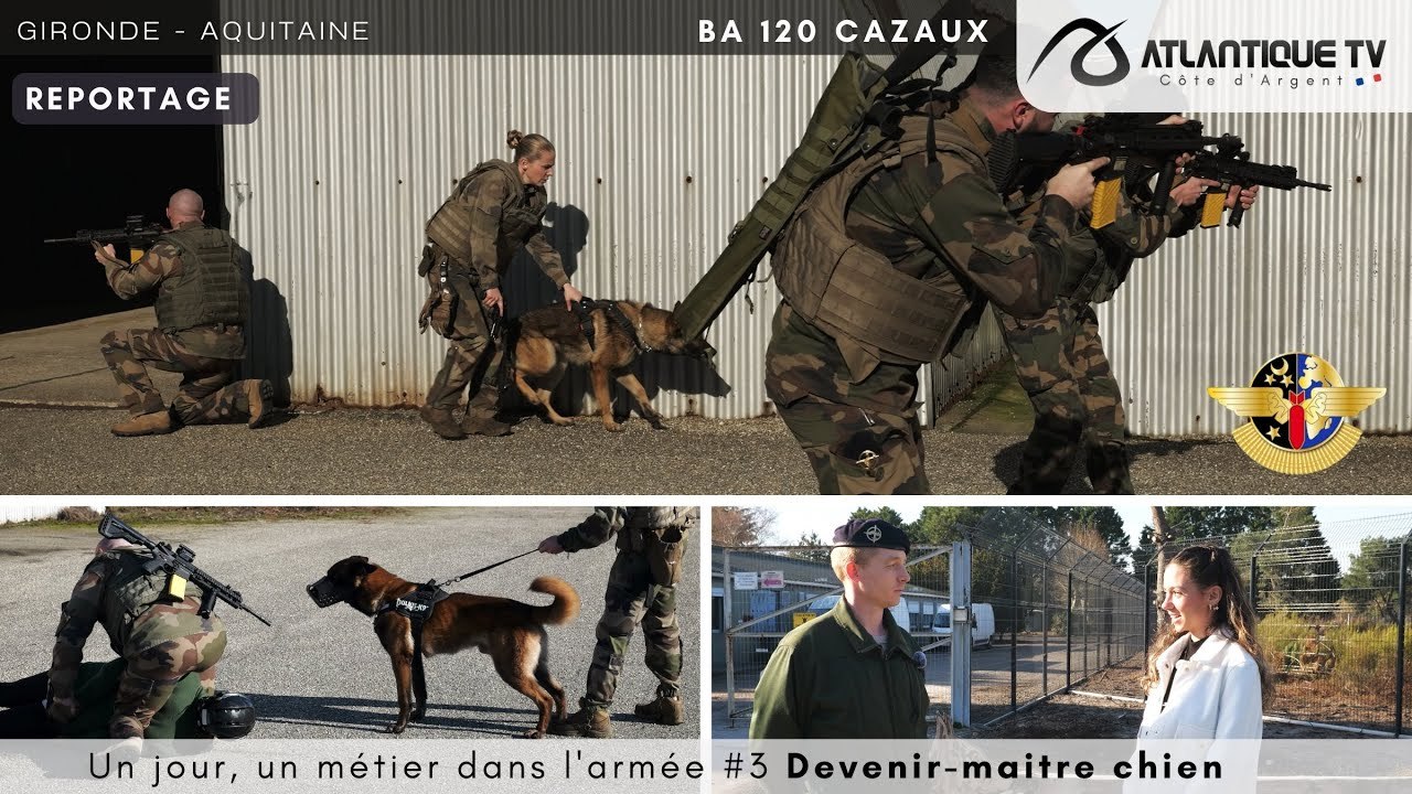 Un jour, un métier dans l'armée #3 Devenir-maitre chien #ArméedeLairEtDeLEspace