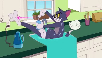 Tom and Jerry cartoon(480p)