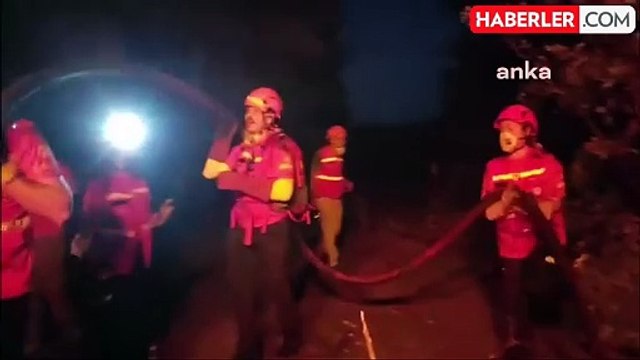 Bursa'da çıkan orman yangını kontrol altına alındı