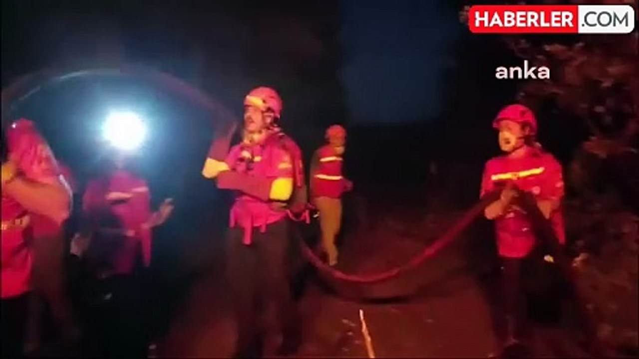 Bursa'da çıkan orman yangını kontrol altına alındı