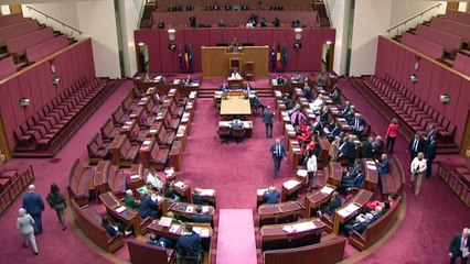 Labor senator expelled from caucus after defiant support for Palestinian state