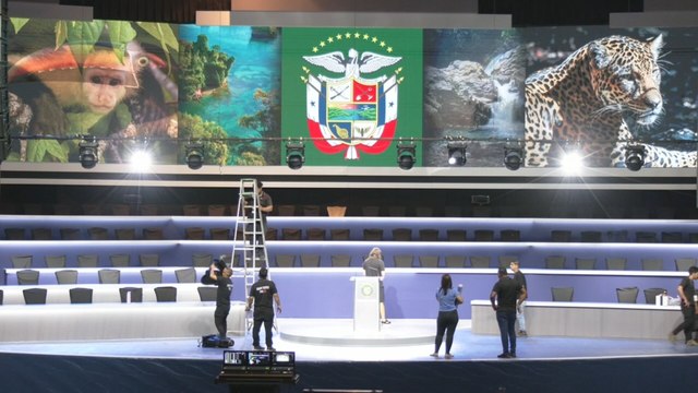 Preparativos finales para la toma de posesión de Mulino