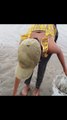 Beautiful Woman Hunting Big Mud Crabs In The Sea During Rain