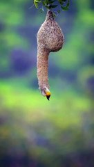 God is greatest. #creative #viralvideo #life