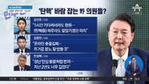 탄핵 동의 80만 명…울지도 웃지도 못하는 민주당?