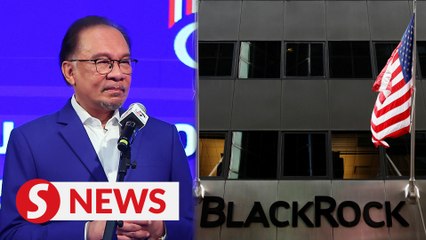 Don't go overboard in debating BlackRock issue, says Anwar