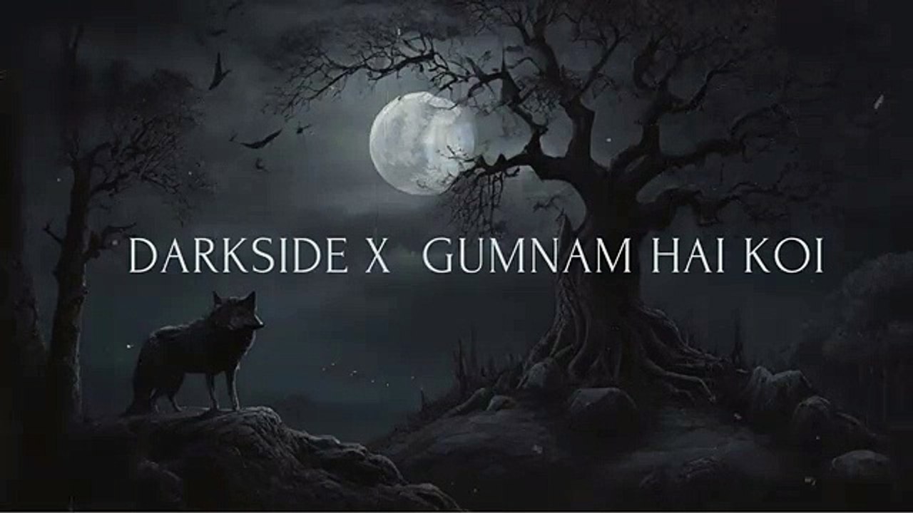 DARKSIDE X GUMNAM HAI KOI MASHUP