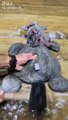 I SURPRISED Teddy Bear Mud Cleaning - Cleaning Pillow satisfy ASMR