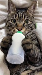 Don't Disturb Me, It's eating time