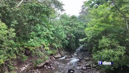 7dias-Especial Sostenibilidad-100924