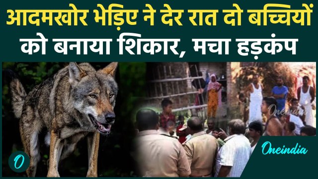 Bahraich Bhediya Attack: बहराइच में खूंखार भेड़िए ने दो बच्चियों पर किया हमला | वनइंडिया हिंदी