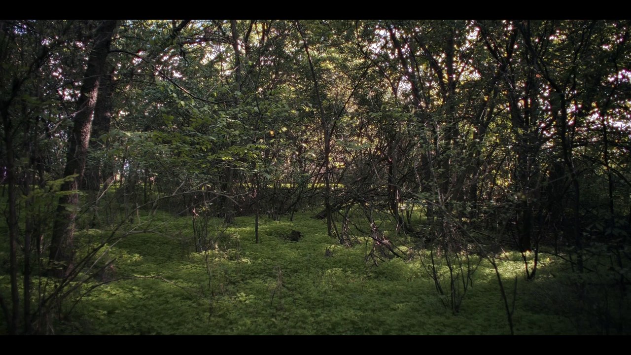 House Of Spoils Trailer OV