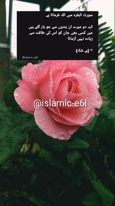 Islamic video#dailymotion#islamic