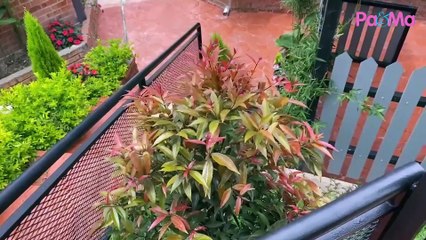 Rasai Pengalaman 'Rare' Staycation Dalam Bas di Cameron Highland!