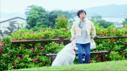 Youtubeバラエティ動画倉庫 - Miomio.guru - じゅん散歩  2024年9月11日