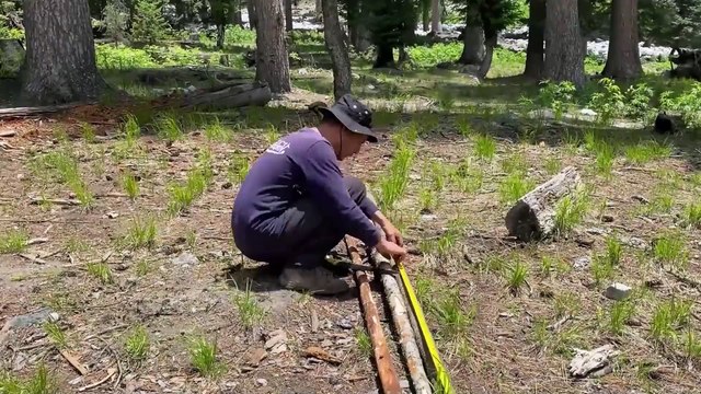 Luxurious House Built on a Fallen Tree : A Thrilling River Adventure Awaits! | Camping Amazing