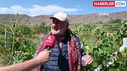 Karanlıkdere Vadisi'nde Bağ Bozumu Etkinliği Geri Dönüşüm Sağlıyor