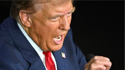 Trump behauptet: Migranten essen Haustiere – Neue Eskalation der "Fake News"