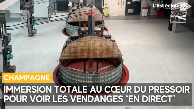 Pendant les vendanges, immersion totale au cœur du pressoir à Meurville