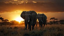 5 Deadliest Animals on the Planet ⚠️ (You’ll Be Shocked by #1!)