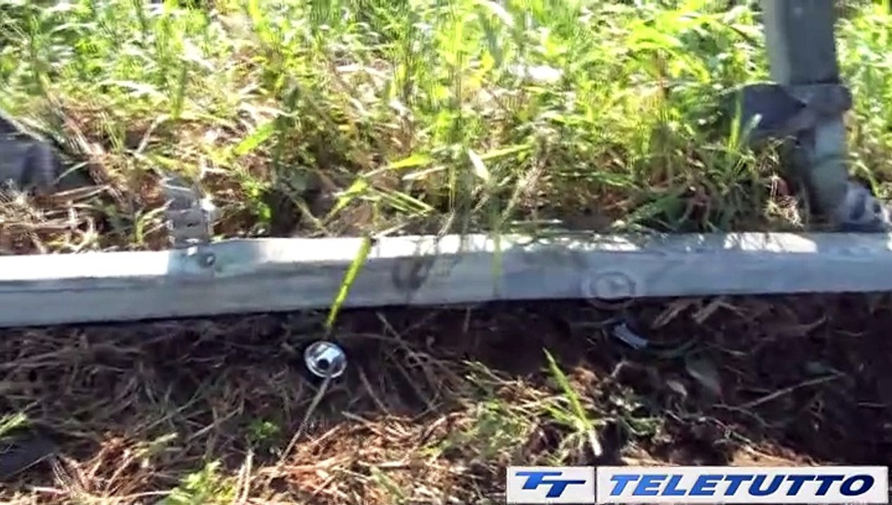 Video News - Incidente in A21, morti due ragazzi di Urago d'Oglio