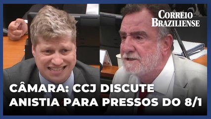 CCJ discute anistia para presos relacionados ao 8/1