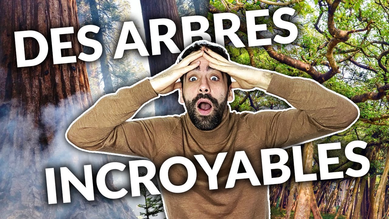 5 ARBRES qui ont une histoire EXTRAORDINAIRE !