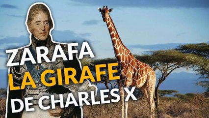La PREMIÈRE Girafe de France, Zarafa