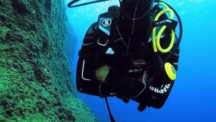 Best Scuba Diving Jacket BCDs - Choosing the Perfect Scuba Jacket BCDs - Trip Advisor & Booking