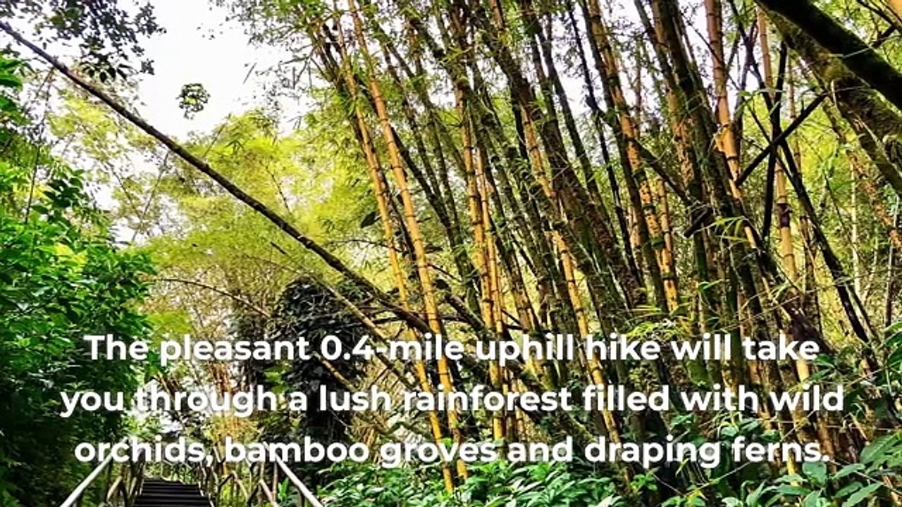 Hawaii's Big Island Vacation Travel Guide - Trip Advisor & Booking