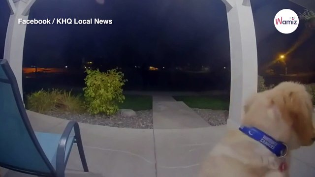 Pukanie do drzwi w środku nocy. Mężczyzna wygląda przez wizjer i wybucha śmiechem