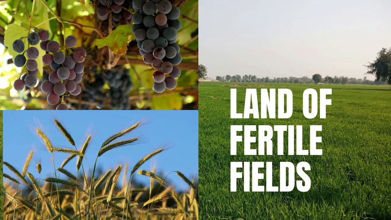 crop2x Services