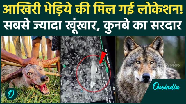 Bahraich Bhediya News: 5 भेड़िये कैद में,छठे की मिली लोकेशन | Bahraich Wolf Attack | वनइंडिया हिंदी