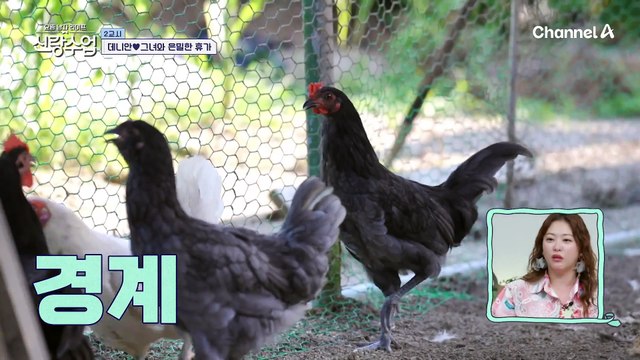 [#신랑수업] 친구에서 연인으로(?) 국주와 데니의 심상치 않은 기류..♥ #데니안 #이국주 #신지